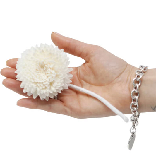 Diffuseur fleurs naturelles Grand œillet sur ficelle