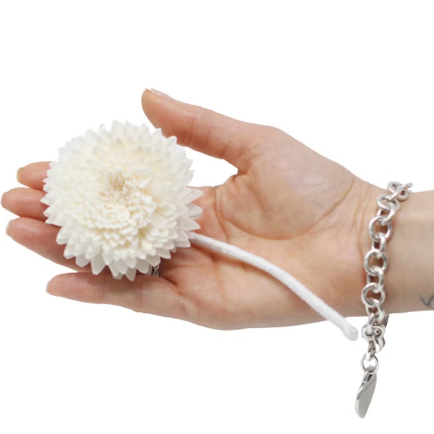 Diffuseur fleurs naturelles Grand œillet sur ficelle