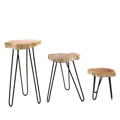 Lot de 3 supports à plantes en bois Gamell